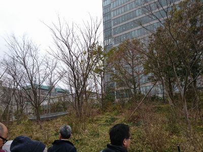 平成31年1月4日　生態系に配慮した緑化のための講習会―現地見学会　DNP市ヶ谷の杜